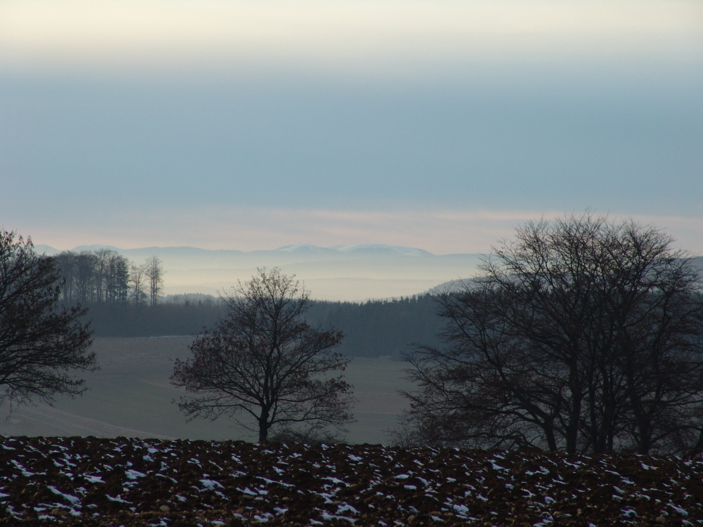 Nebliger Schwarzwaldblick vom Witthoh aus