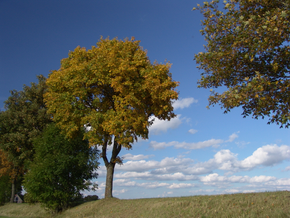 Herbstbeginn