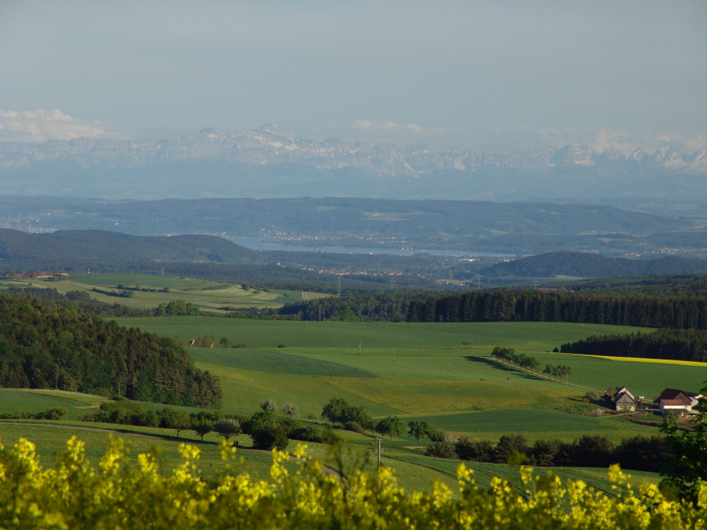 Der Sntis hinter dem Radolfzeller Mnster und dem Untersee