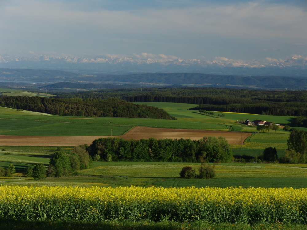 Sommerliches Alpenpanorama