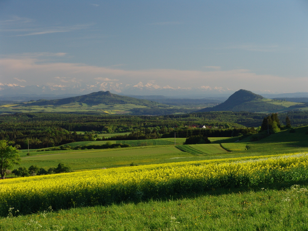 Sommerliches Hegaupanorama