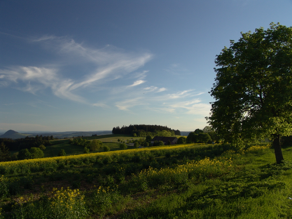 Ein lauer Sommerabend auf dem Witthoh