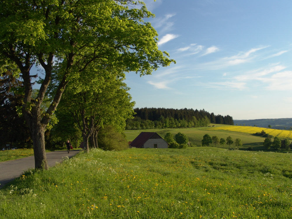 Spaziergang auf dem Witthoh