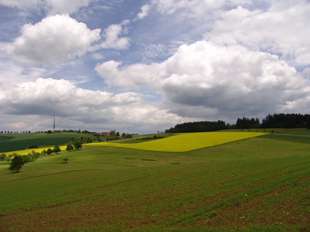 Wolkenmeer ber dem Witthoh