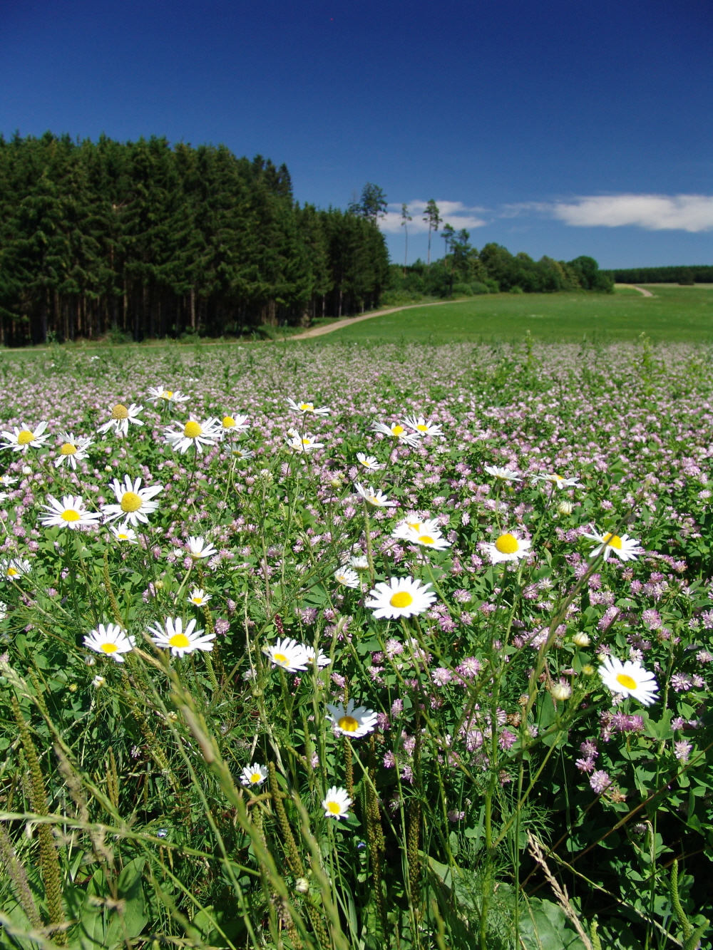 In der Nhe von Hattingen auf dem Weg zum Witthoh