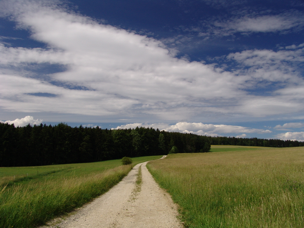 Spaziergang von Hattingen nach Mhringen