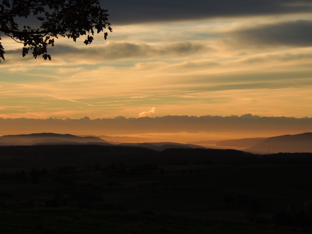 Bodensee in der Morgensonne und Nebelschwaden