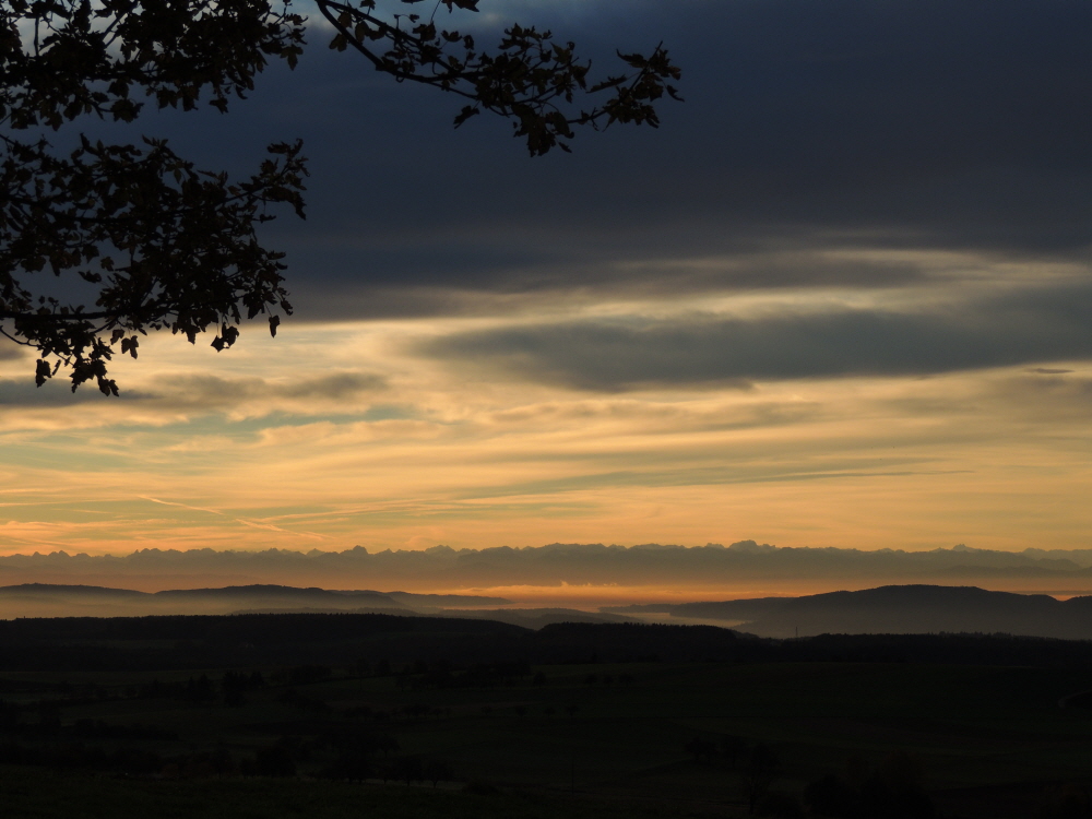 Morgendlicher Blick auf den berlinger See