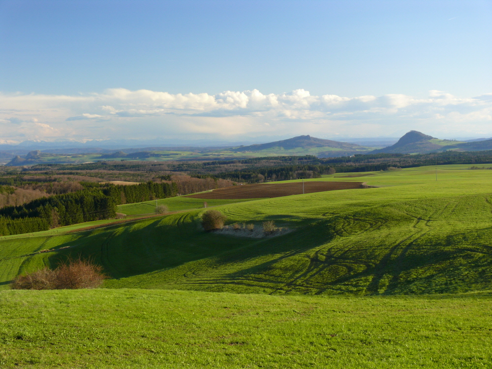 Abendlicher Blick zum Hegau