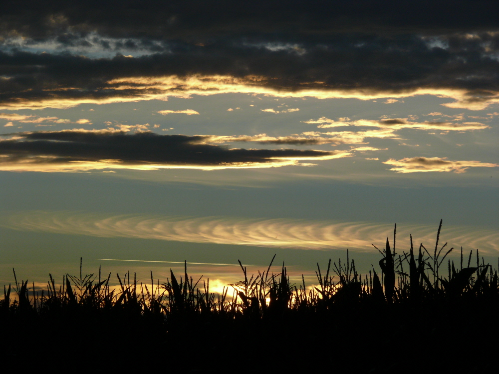 Sonnenuntergang auf dem Witthoh