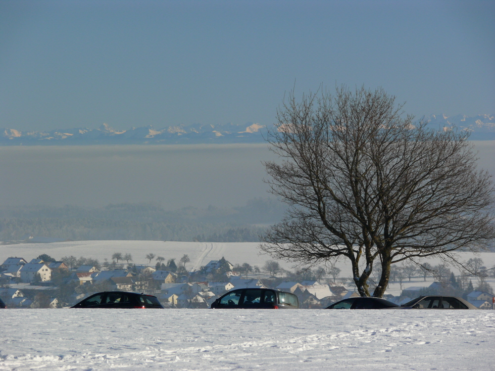 Ein Sommertag im Winter auf dem Witthoh...