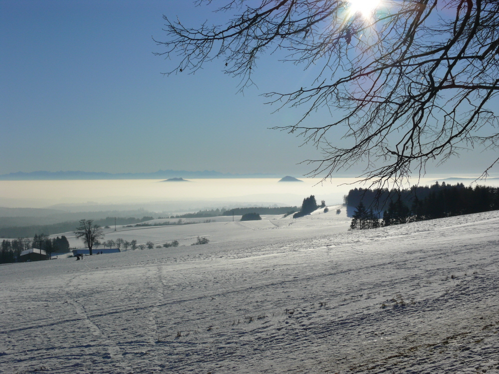 Stimmungsvoller Hegau im Nebel