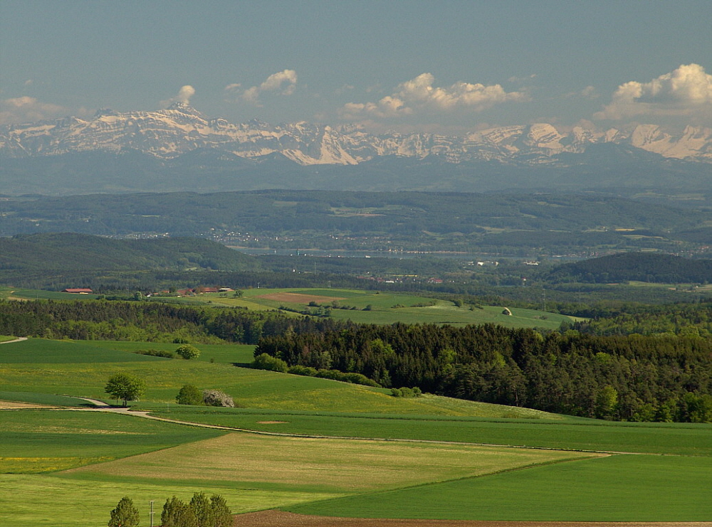 Sntis-Blick im Sommer