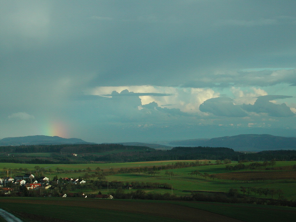 Sommerstimmung
