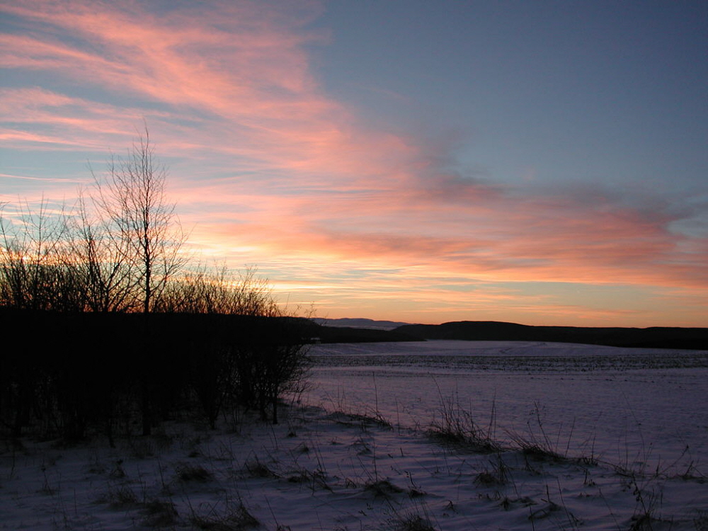 Schwarzwaldblick