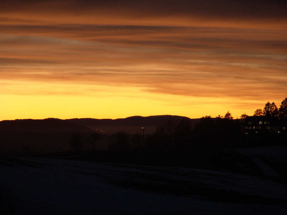 Schwarzwaldblick